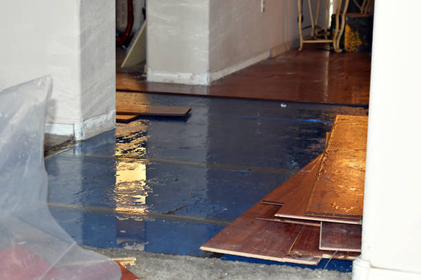 Professional Burst Pipe Cleanup technician working in Purmela, TX